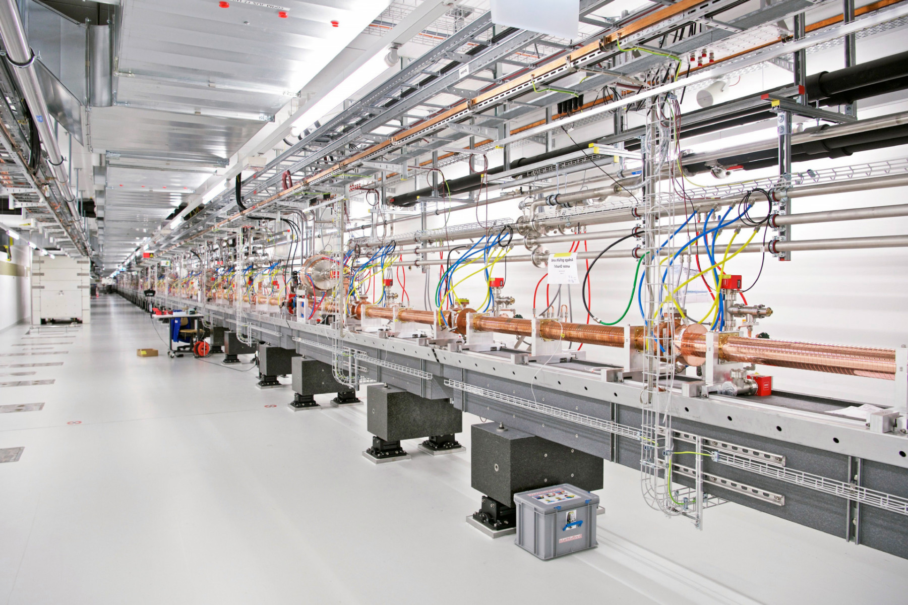 Slow Motion the Ultrafast – Observing Biochemical Reactions That Make ...