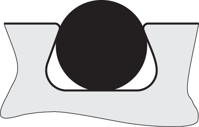 O-ring seal