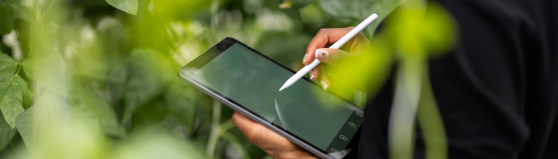 農学者がプランテーション分析にデジタルタブレットを使用している