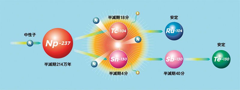 From highly radioactive neptunium to comparatively harmless tellurium