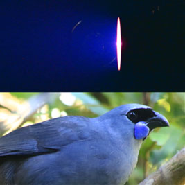 plasma beam