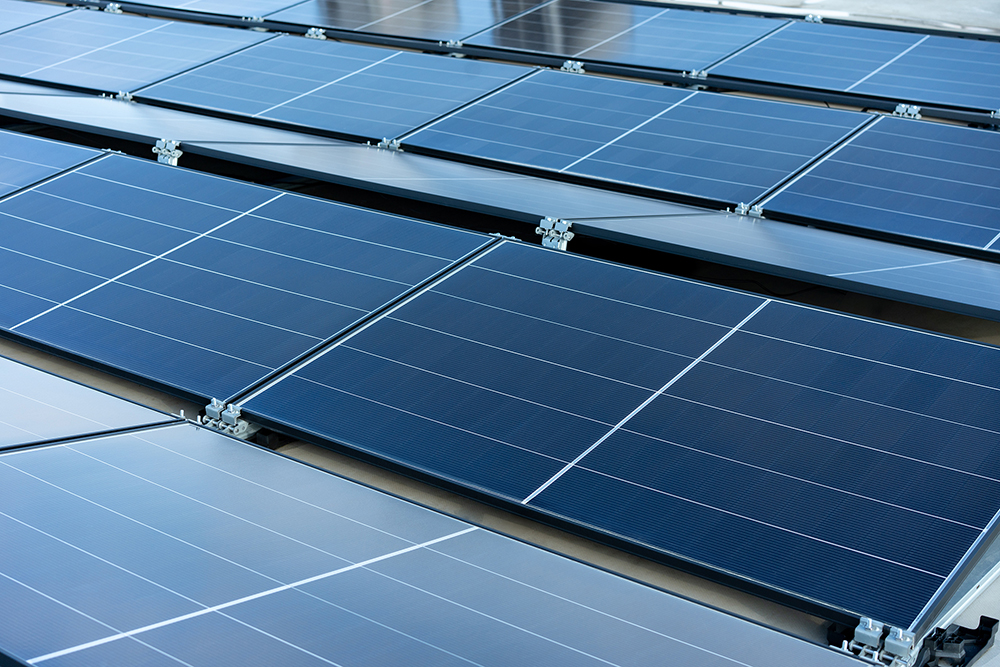 Sustainability Report